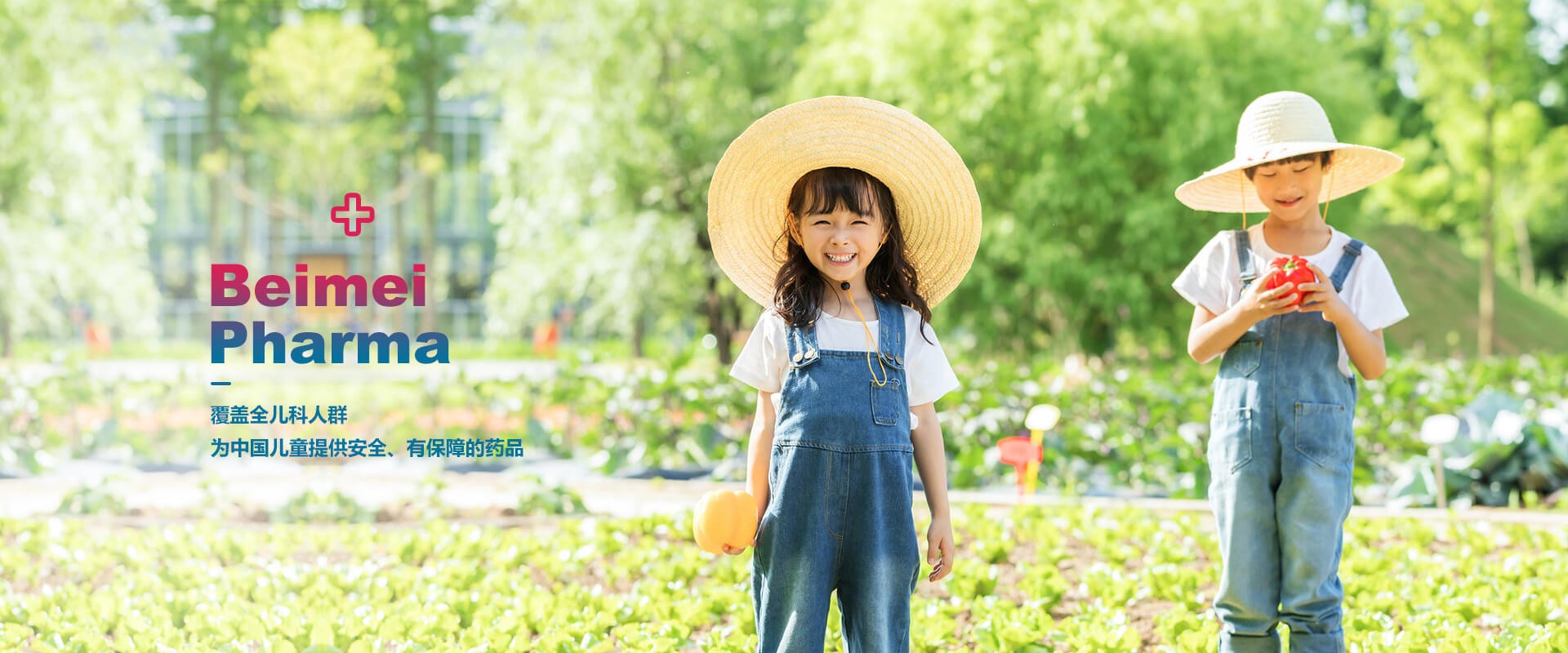 2022年11月貝美藥業(yè)自主研發(fā)的又一個品種，獲得生產(chǎn)許可B證！